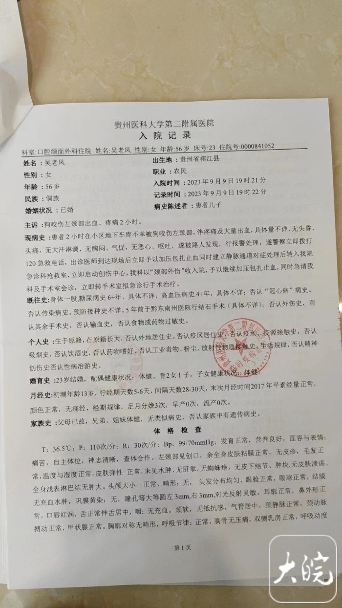 奶奶为保护孙子被狗撕咬！家属：已花费10多万，狗主人仍未找到4