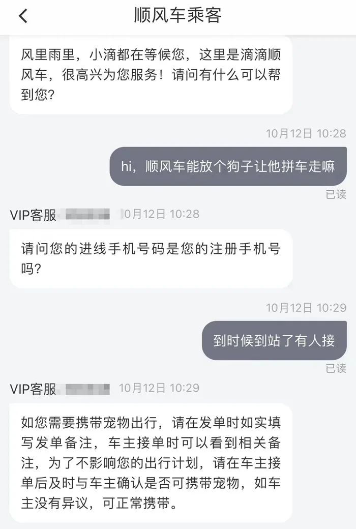 拼車拼到狗子，你能接受嗎？