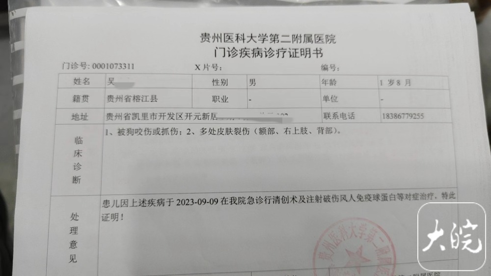 奶奶为保护孙子被狗撕咬！家属：已花费10多万，狗主人仍未找到5