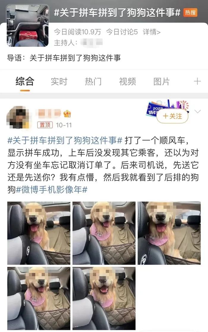 拼車拼到狗子，你能接受嗎？