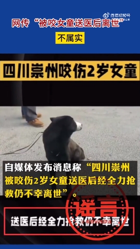 女童打狗导致被咬？犬主为黑衣女子？成都警方辟谣：都是假的2
