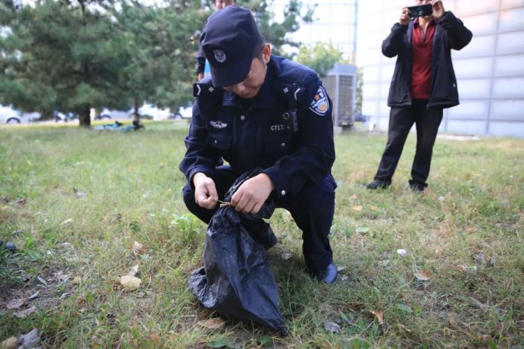 北京望京一河里惊现鳄鱼！警方：已捕获，疑是人为放生2