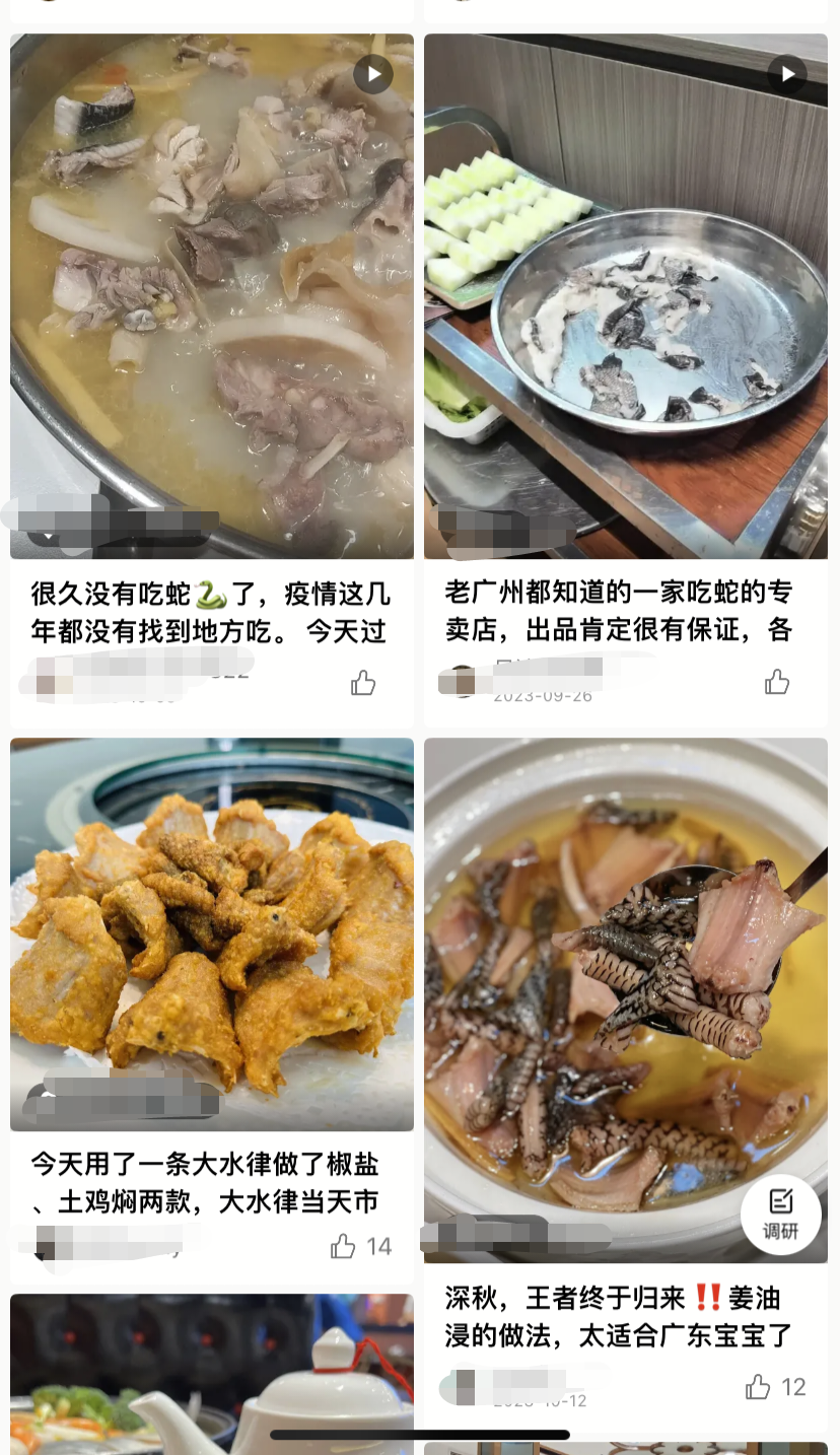 广州辟谣蛇可食用之后：知名餐厅收手，暗访发现有食肆仍卖蛇1