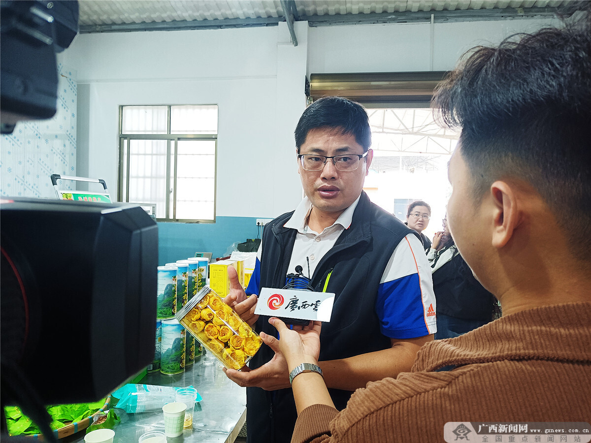 从“牛尿花”到“茶族皇后” 防城港金花茶创出超20亿元的产业神话
