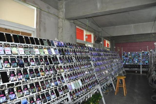 团伙用26000部手机刷直播间人气6