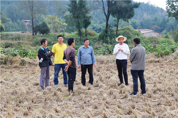 农技人员前往田间地头开展秋种技术指导。记者 张扬凤 丁鑫 供图