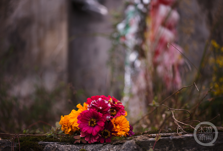 送你数不尽的鲜花和浪漫！89岁老人亡妻坟前打造花海17年7