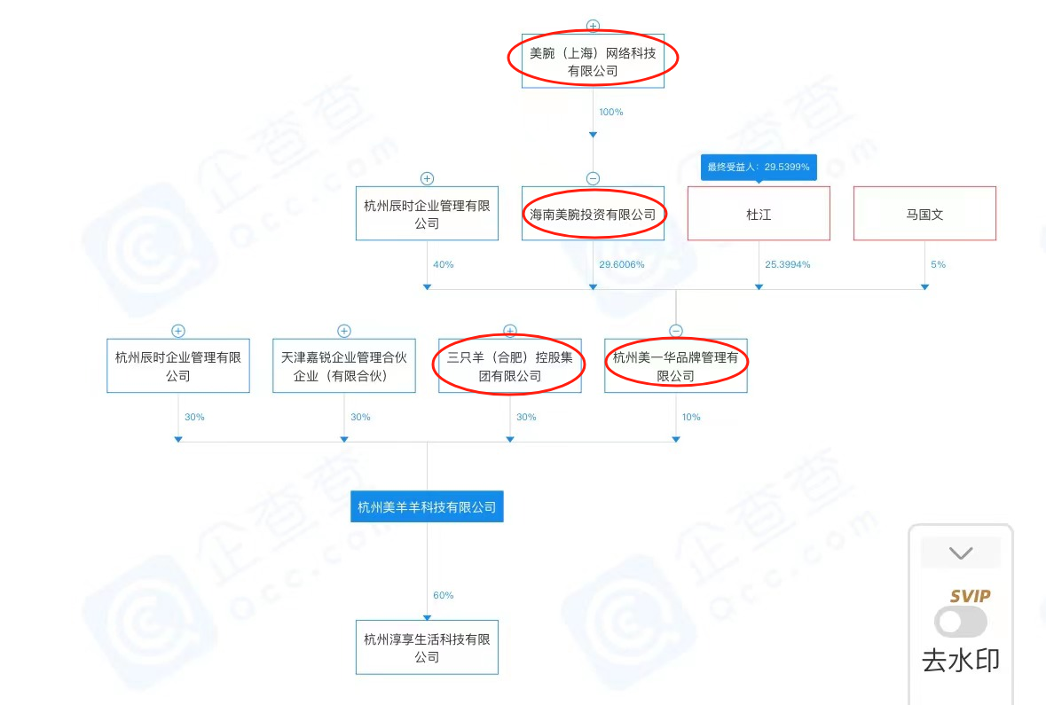 强强联合?“疯狂小杨哥”与李佳琦背后公司竟已合资开公司1