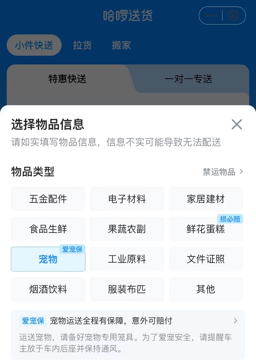 活蹦乱跳上车，至目的地时却奄奄一息！“哈啰送宠”出现意外责任谁来担？2