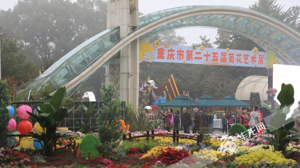 10月26日至11月26日，重庆市第25届菊花艺术展在重庆市南山植物园举行。华龙网记者 陈毅 摄