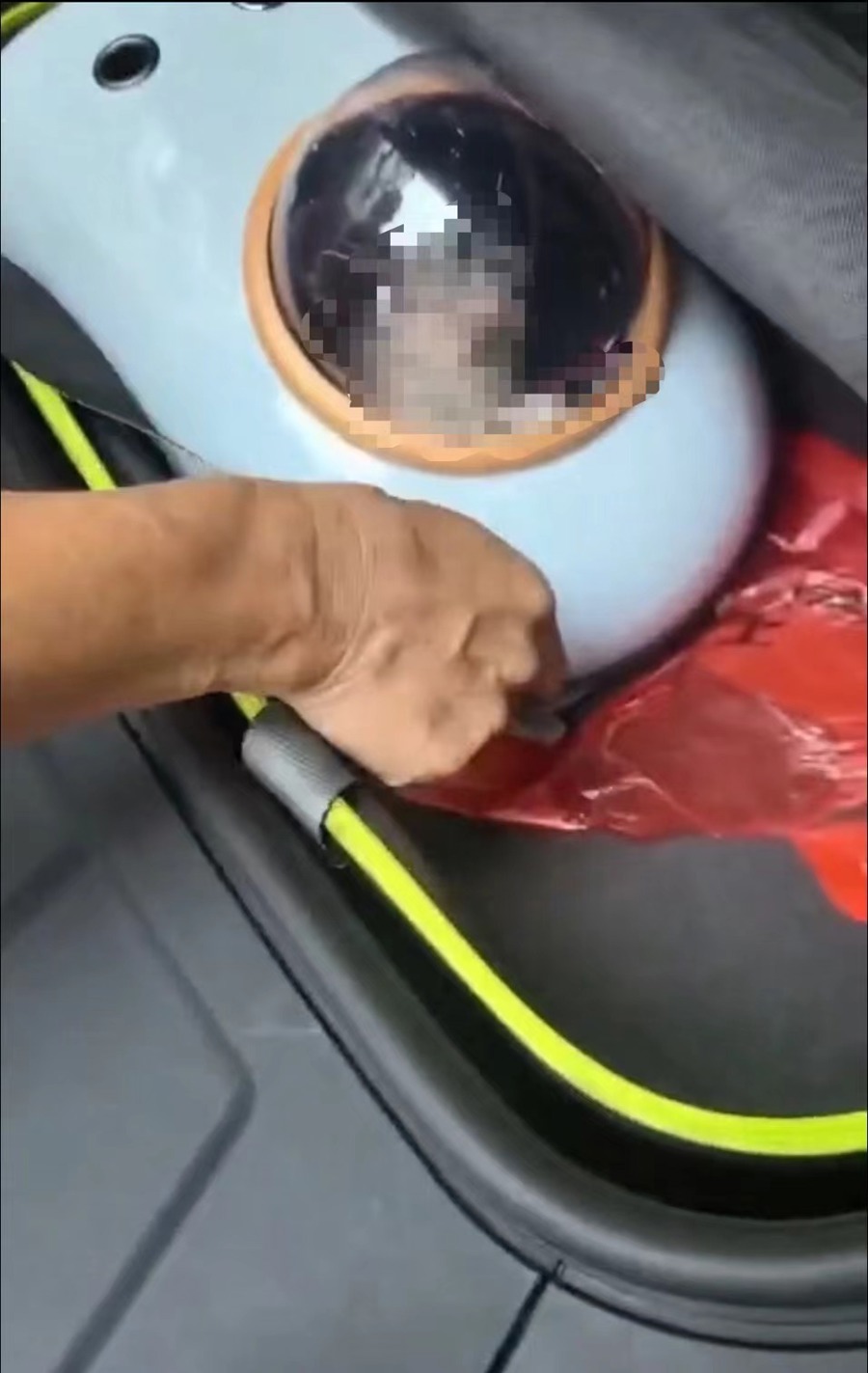 活蹦乱跳上车，至目的地时却奄奄一息！“哈啰送宠”出现意外责任谁来担？3