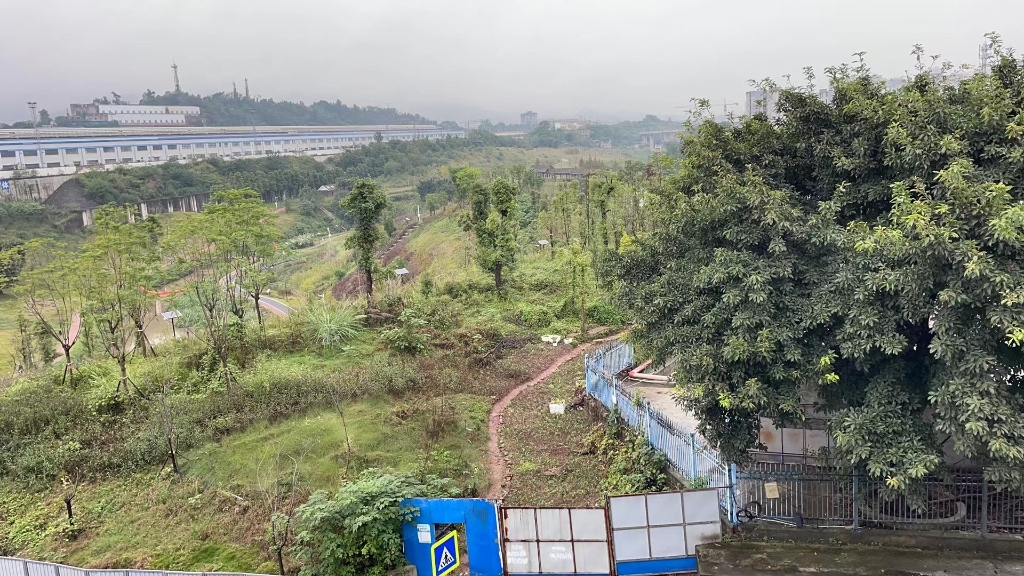 跳磴绿 地，已恢复后照片