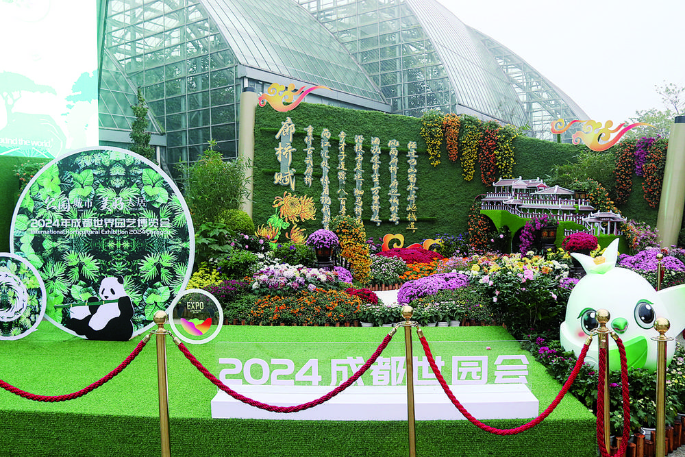 20万盆多彩菊花亮相南山植物园</p><p>第25届菊花艺术展于10月26日至11月26日举行1