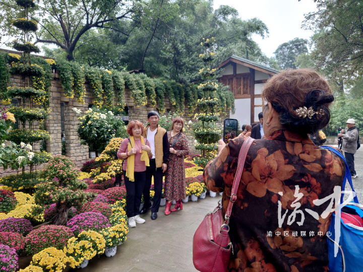 市民在菊花景观前拍照打卡。