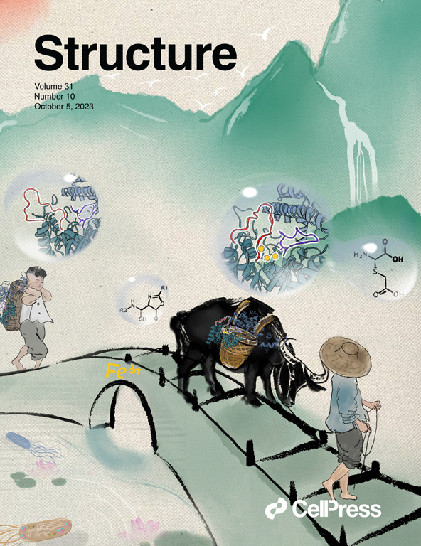 化学博士“不务正业”搞绘画，中国风科研绘图频频登上顶刊封面1