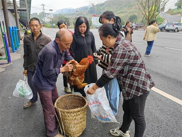 镇人大代表在“赶场”活动中抢购群众家中的活鸡。通讯员 翁谊 摄