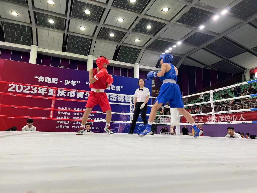 重庆市青少年拳击锦标赛现场。主办方供图