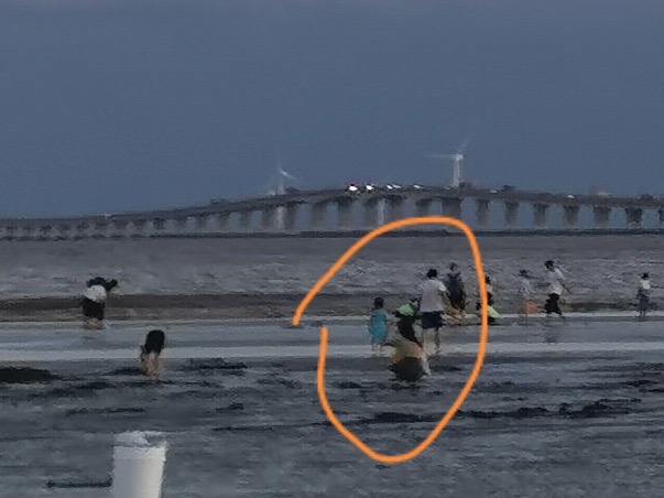 海滩女童走失更多细节曝光，“赶海”热背后的隐患4