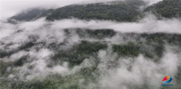 丰都玉带山出现了迷人的云雾景观。丰都县融媒体中心供图