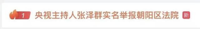 诉讼热线外包?央视主持人实名举报朝阳区法院,回应来了1