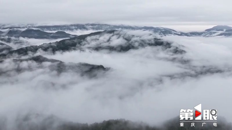 丰都玉带山：雨后云雾绕 群山绿意浓4