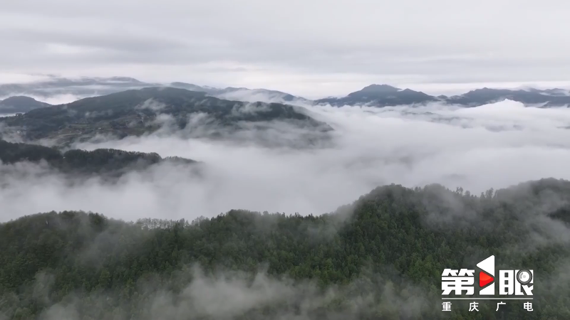 丰都玉带山：雨后云雾绕 群山绿意浓3