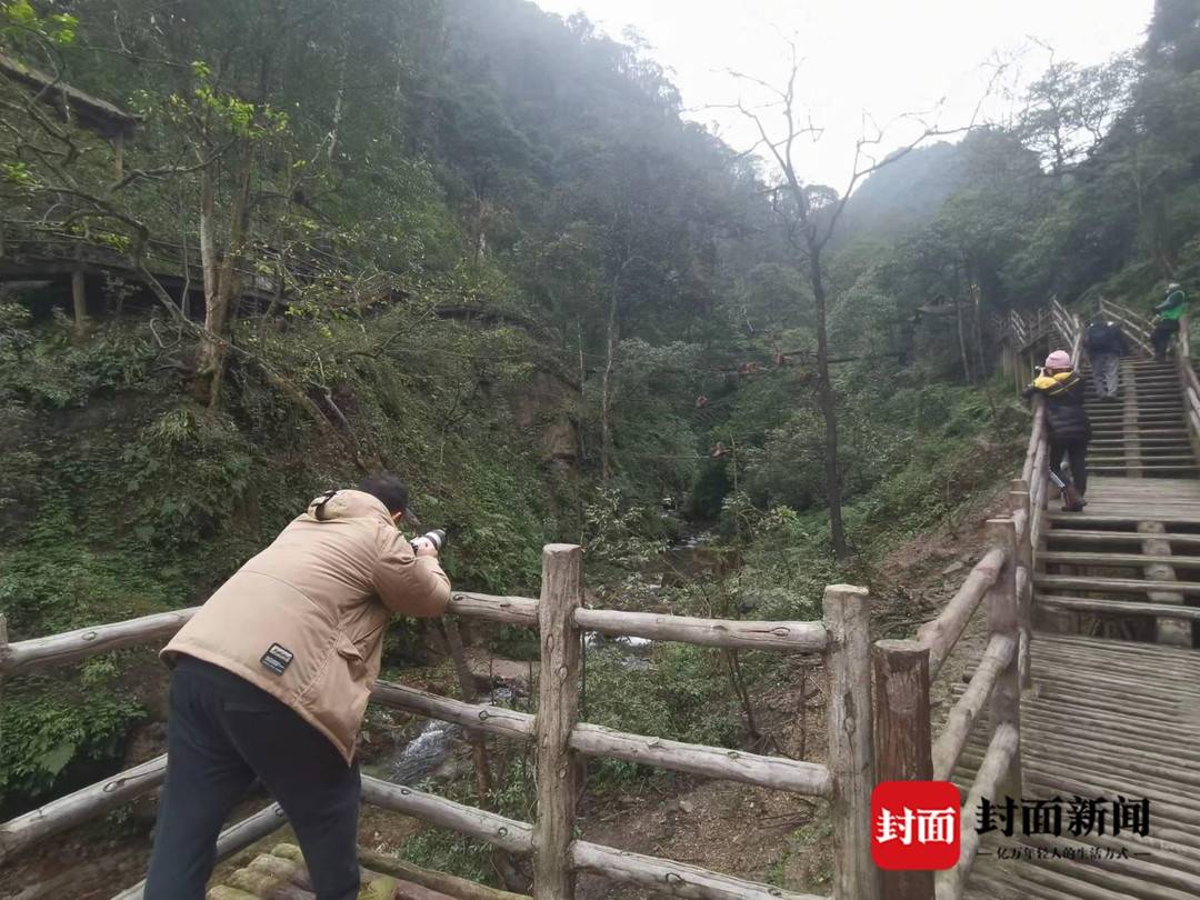 峨眉山招聘猴群管理员引热议 景区：合同聘用制，缴纳五险一金3