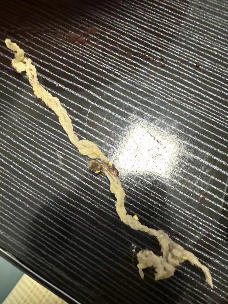 “鱼你在一起”酸菜鱼里吃出异物 总部客服：正在核实2