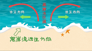 网红仲尼生日当天溺亡！海边游玩有哪些风险？如何识别防范离岸流？