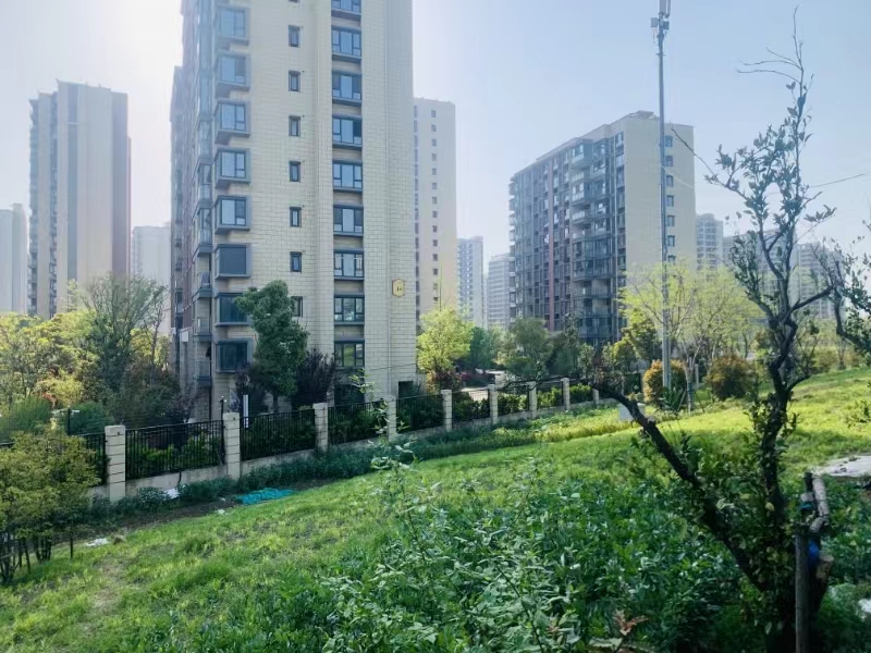 “没有人告诉我们这一块地能不能住”，苏州“毒地”附近小区业主：想退房，折价都要退3