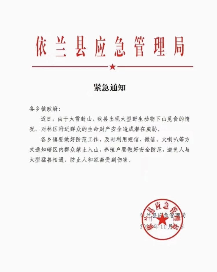 黑龙江疑似野生东北虎下山咬死村民两头牛,官方称尚未掌握其踪迹2