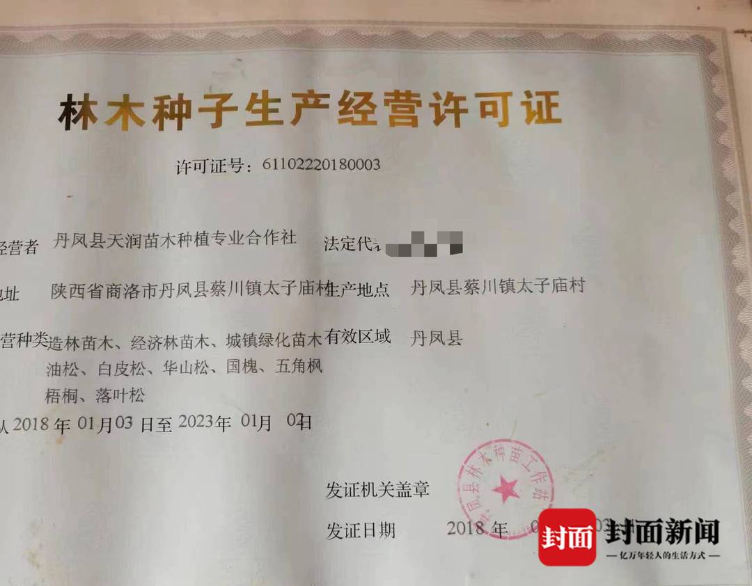 陕西丹凤“强砍槐树”事件续：种植户与镇政府签合同被许可种植 谁该为损失买单？5