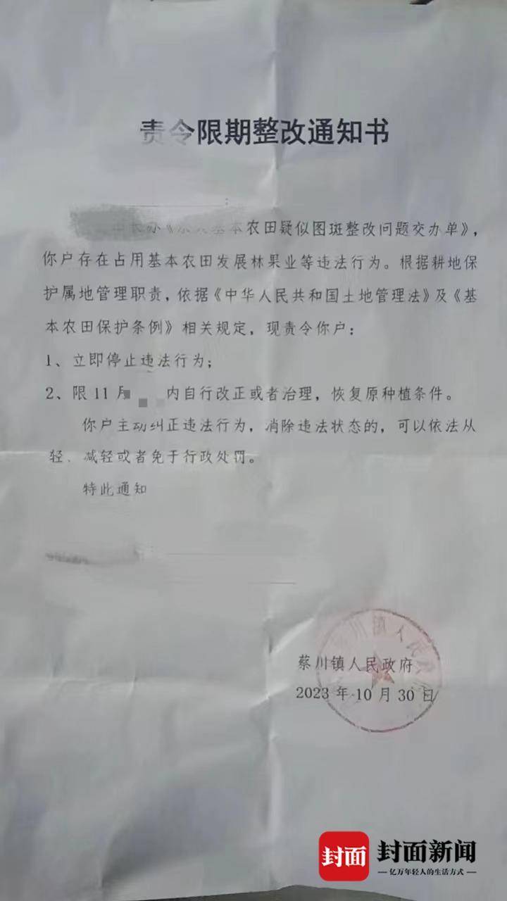 陕西丹凤“强砍槐树”事件续：种植户与镇政府签合同被许可种植 谁该为损失买单？2