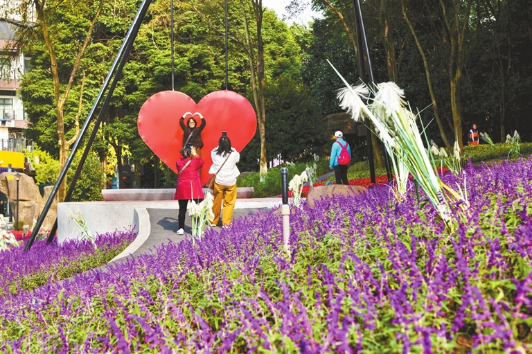 市民在爱情公园赏花拍照。