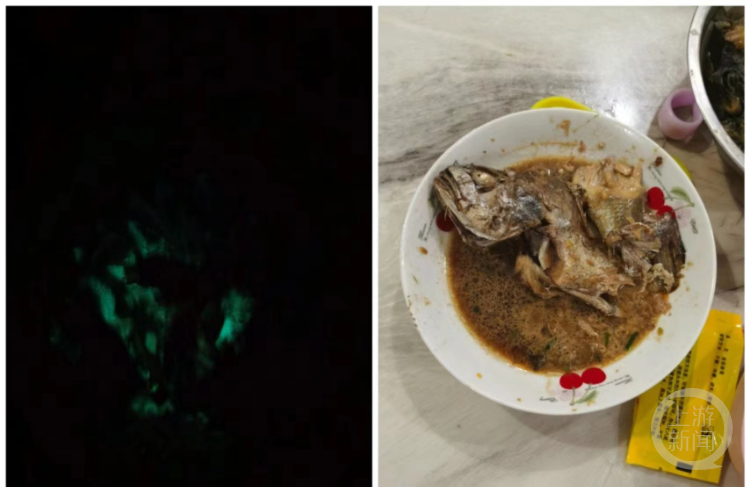 浙江一大妈买海鱼红烧后半夜发绿光，科普博主：保存时感染了发光菌类1