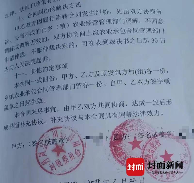 陕西丹凤“强砍槐树”事件续：种植户与镇政府签合同被许可种植 谁该为损失买单？4
