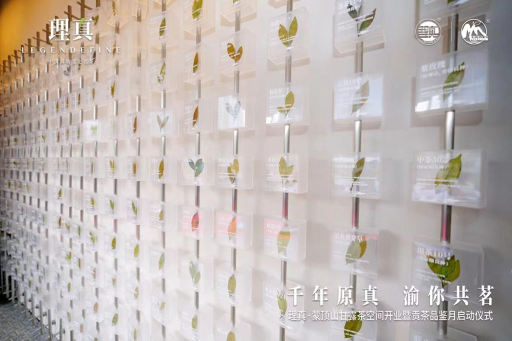 一整面茶叶标本墙，收藏了中国各大茶叶产区优良茶种和珍贵的老川茶茶种