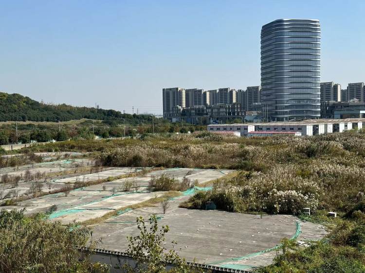 直击苏州“毒地”｜污染警示牌随处可见，大片土地杂草丛生3