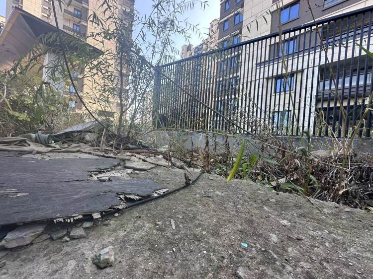 直击苏州“毒地”｜污染警示牌随处可见，大片土地杂草丛生5