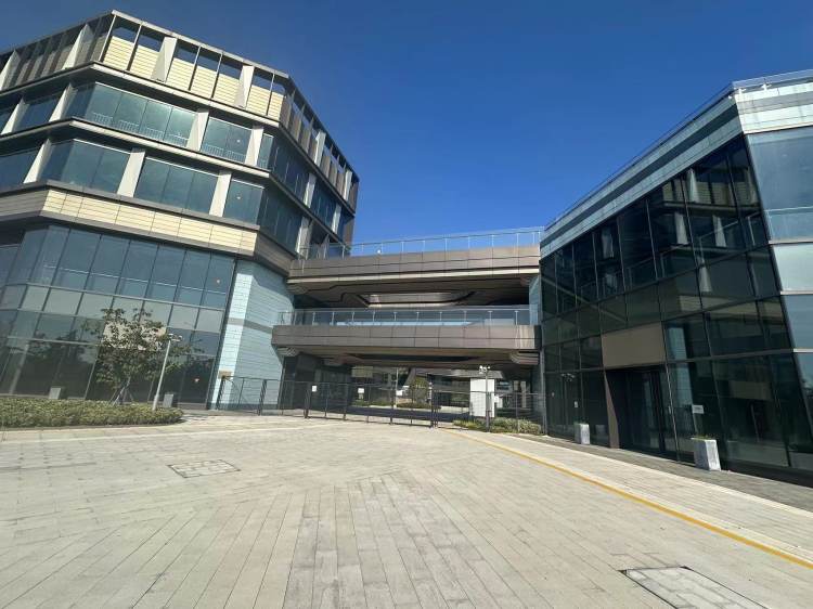 直击苏州“毒地”｜污染警示牌随处可见，大片土地杂草丛生7