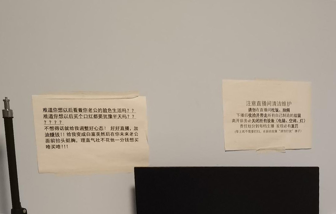 欲望秀场与“亲密”操控:当一位博士生成为主播1