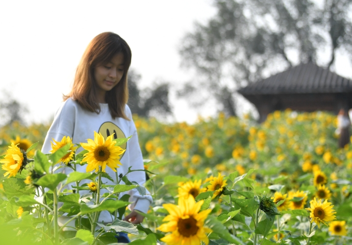 It’s easy to take beautiful photos here. (Photo provided by the Jiulongpo Finance Media Center)