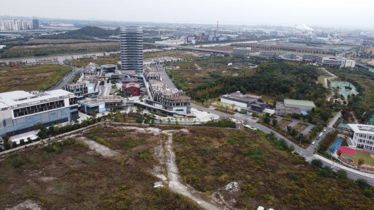 直击苏州“毒地”｜污染警示牌随处可见，大片土地杂草丛生10
