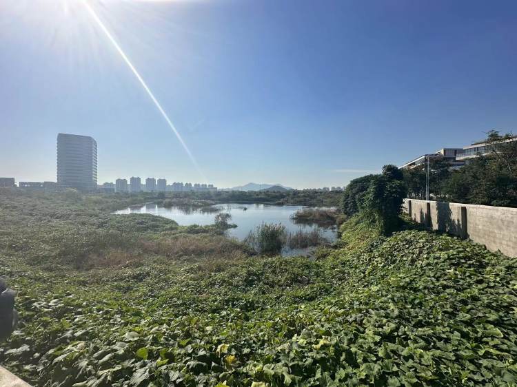 直击苏州“毒地”｜污染警示牌随处可见，大片土地杂草丛生6