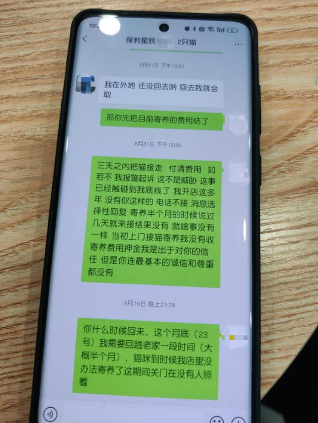 小伙寄养猫咪三个月不露面，宠物店：他有钱冲浪、开宝马咋就不来管猫？3