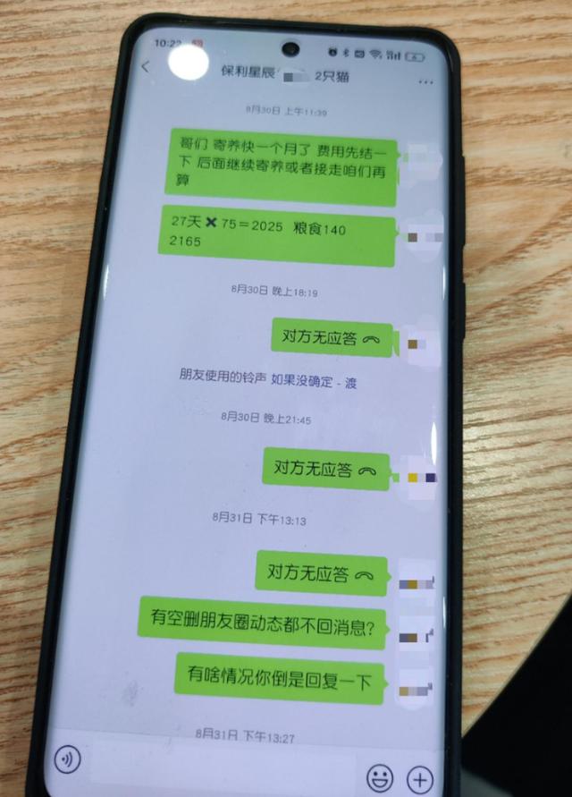 小伙寄养猫咪三个月不露面，宠物店：他有钱冲浪、开宝马咋就不来管猫？2