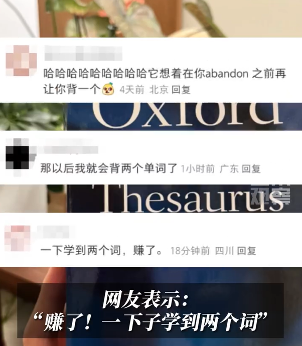 “abandon”不再是牛津词库首个单词了，网友：赚了，一下学到两个词2