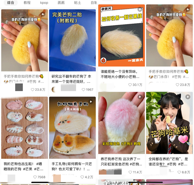 “抱大树”“养芒狗”……年轻人开启解压新姿势3