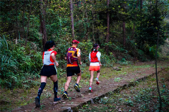 往届赛事现场，选手们在优美的森林环境中竞赛。江北区委宣传部供图 华龙网发