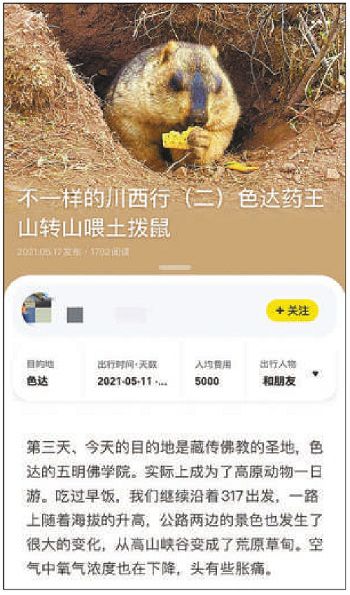 打不到车就报警，与土拨鼠亲密互动？有“毒”旅游攻略帖暗藏多重风险4
